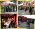 Zdjęcie z galerii